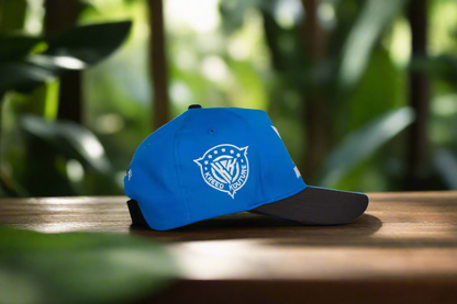 Blue cap with a logo on a wooden surface with a blurred green background
